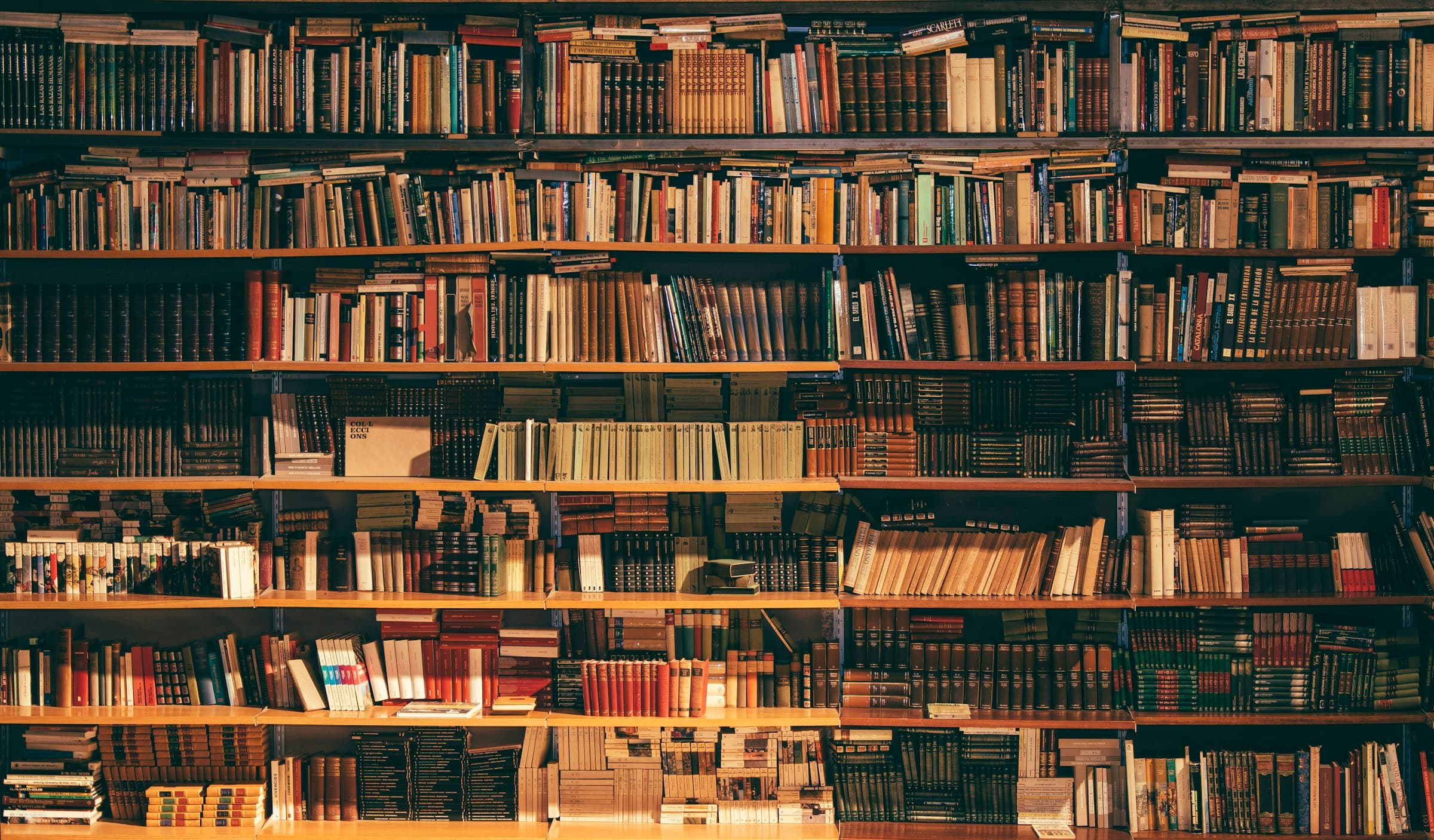 Sunlit university library stacks